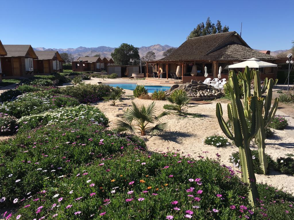 Hotel El Bramador Copiapó Exteriör bild